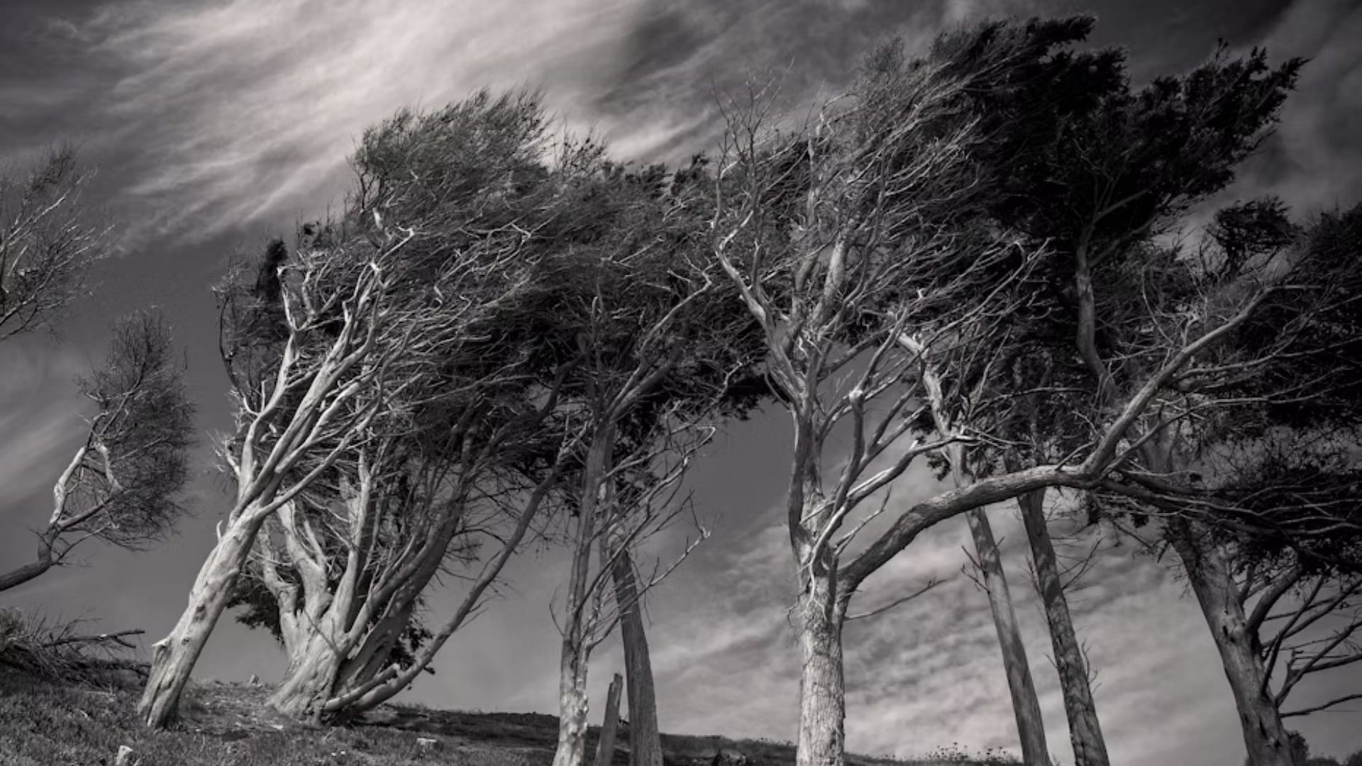 The long-term effect of Hurricane Ian (Image via Unsplash/ @ JD Designs)